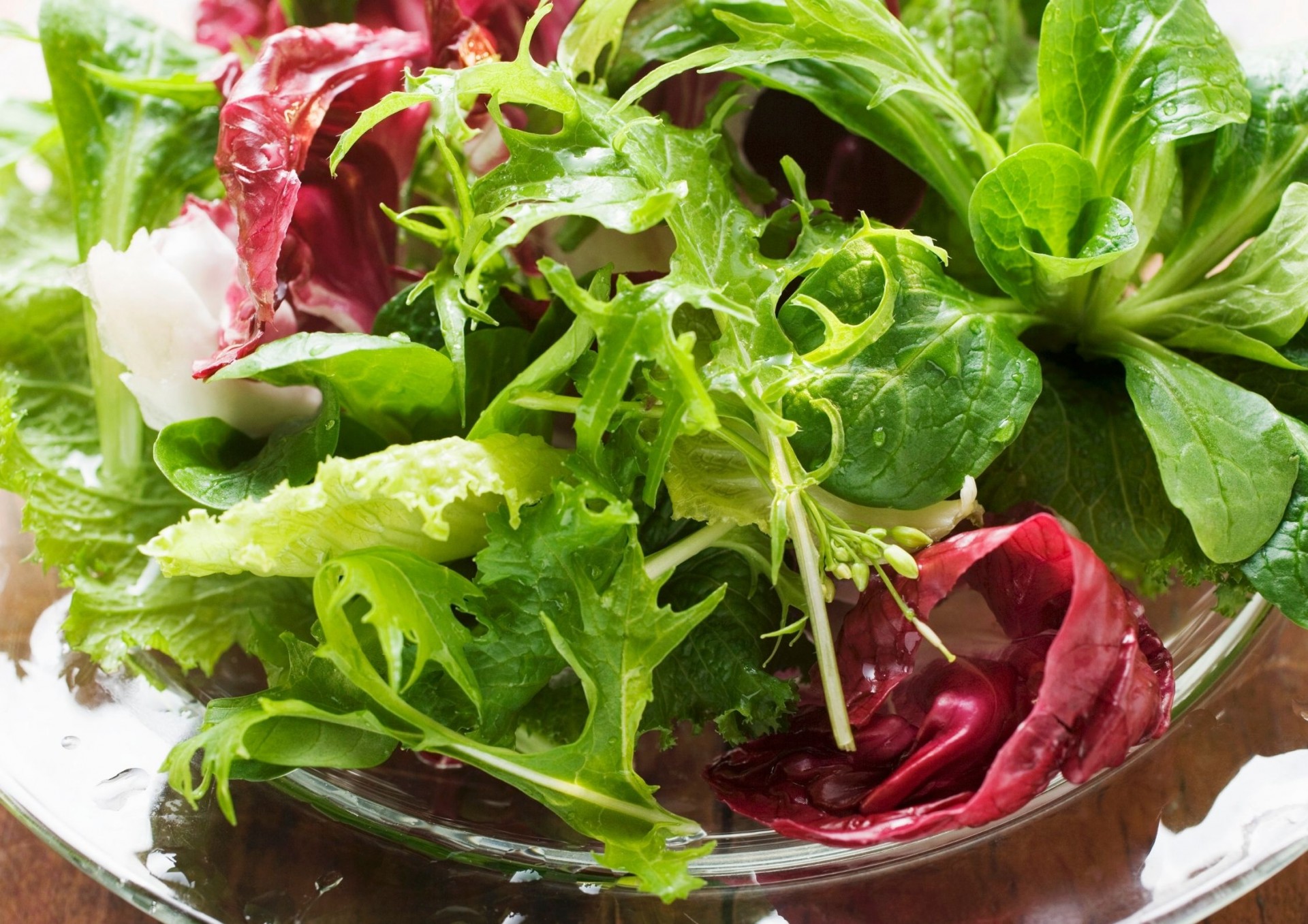 Bulk Buy Seasonal Mixed Leaves Wholesale KFF