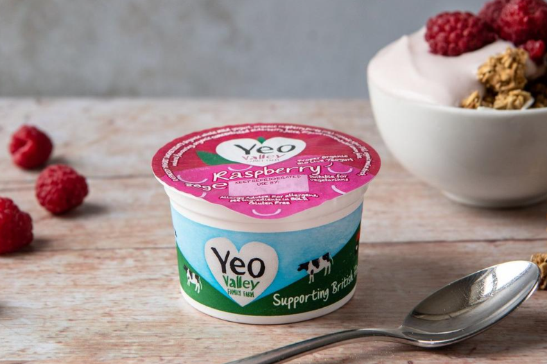 Bulk Buy YEO VALLEY Organic Raspberry Yogurt Wholesale | KFF