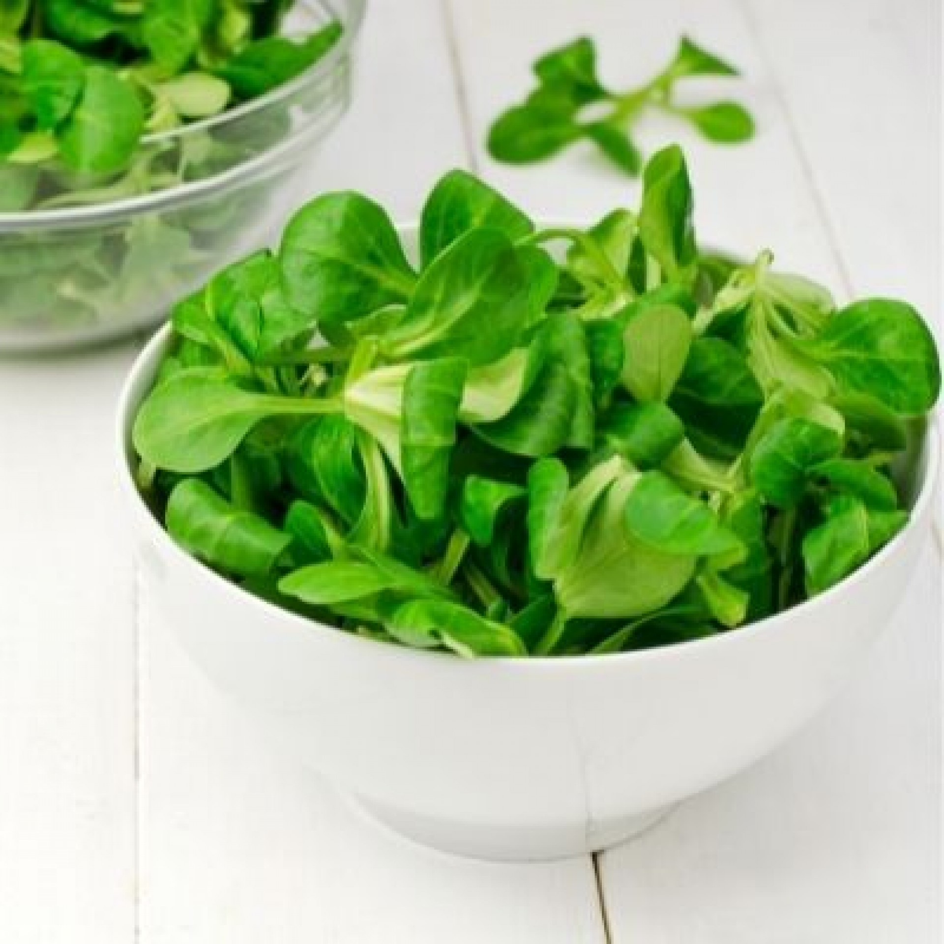 Bulk Buy Lambs Lettuce Wholesale KFF