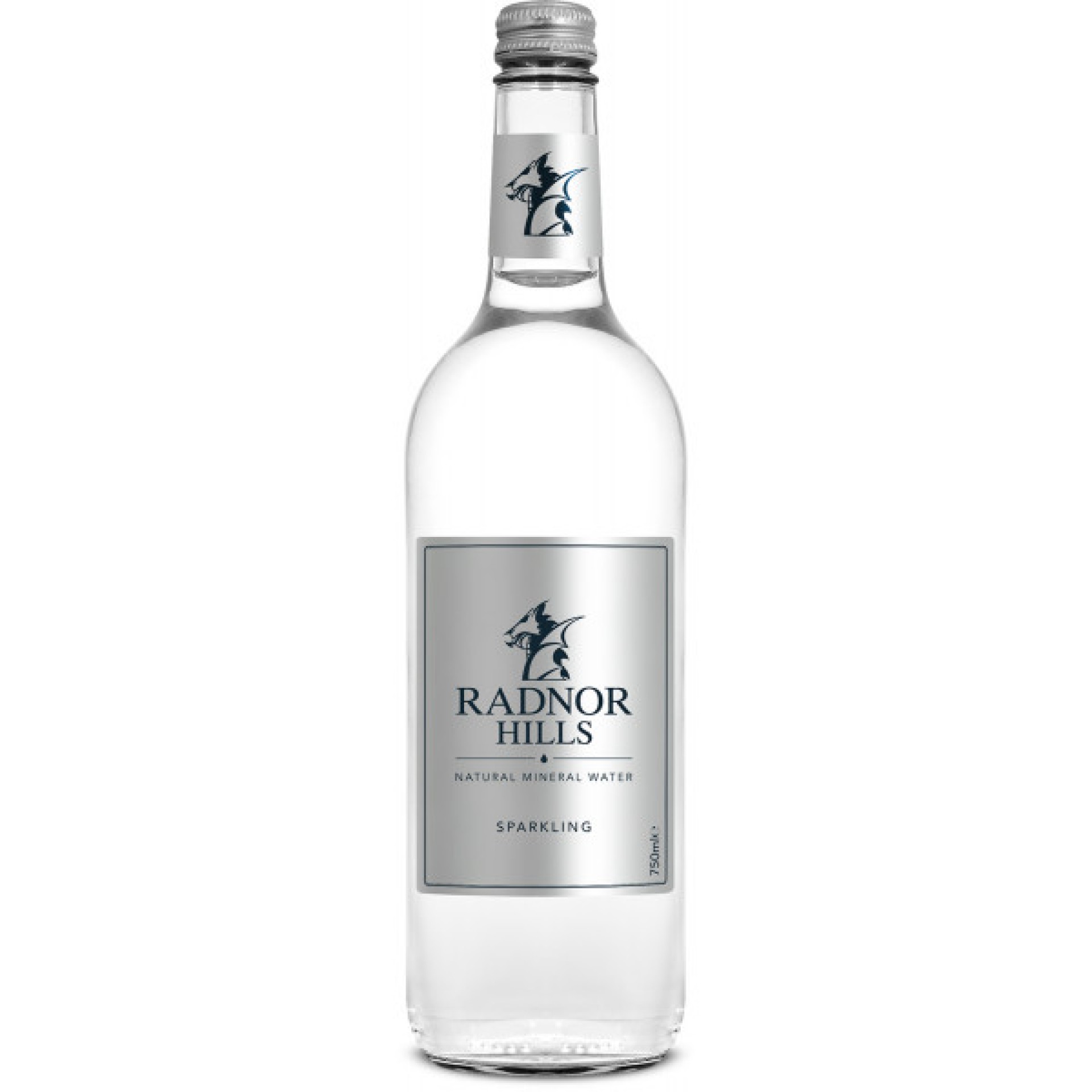 RADNOR HILLS Sparkling Mineral Water (Glass Bottle)