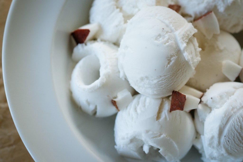 YORVALE Non Dairy Coconut & Vanilla Ice Cream