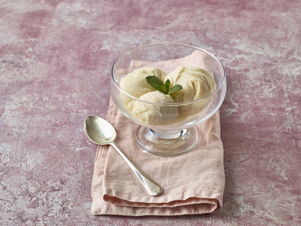 Natural Vanilla Bean Flavour Vegan Ice Cream