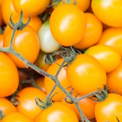 Yellow Cherry Tomatoes