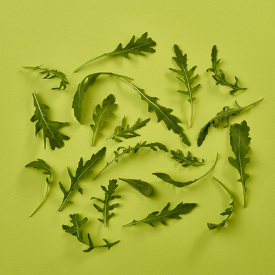 Wild Roquette (Rocket)