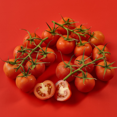 Tomatoes on the Vine