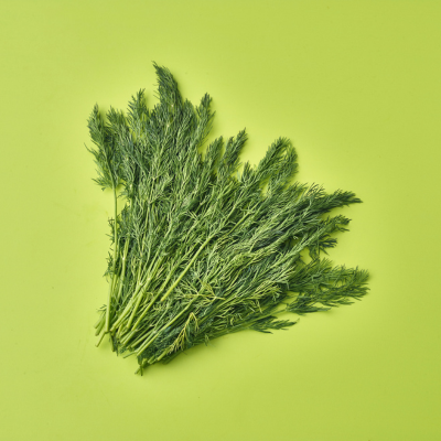 Fresh Dill