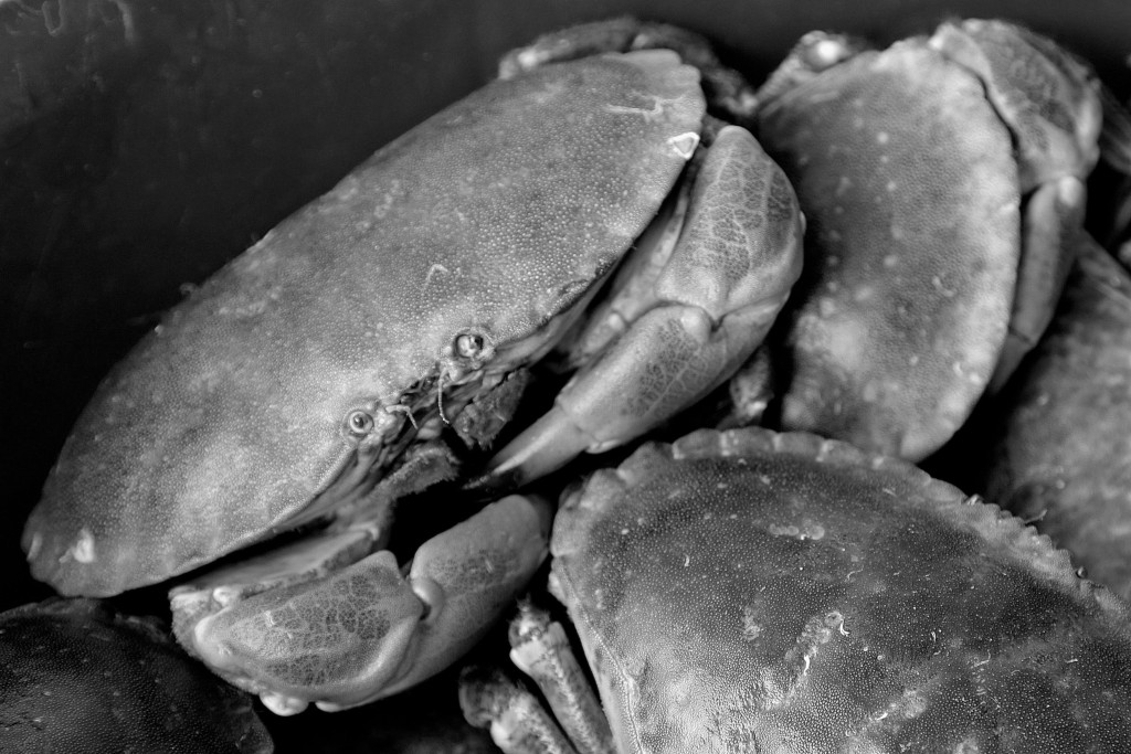 Bulk Buy Crab Meat 50/50 Wholesale KFF