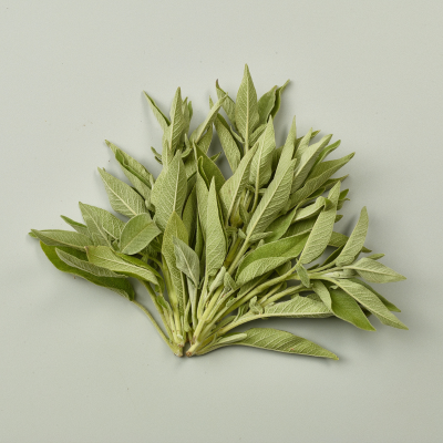 Fresh Sage