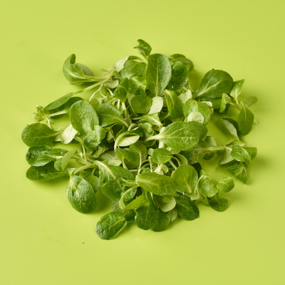 Lambs Lettuce