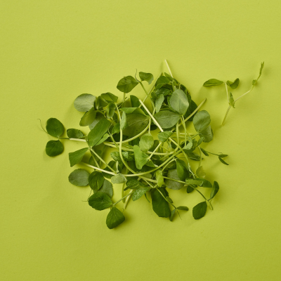 Pea Shoots (Cut)