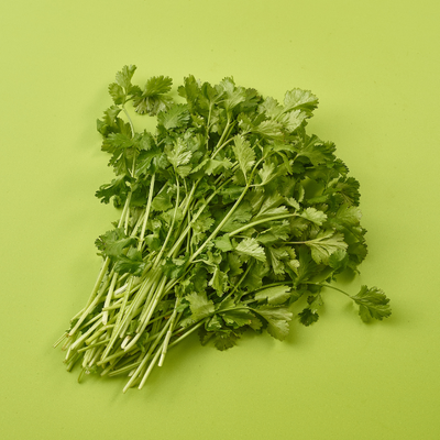 Coriander