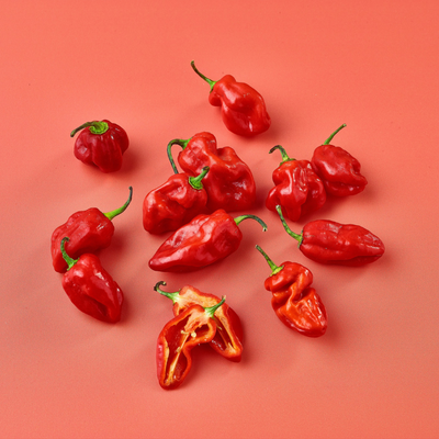 Scotch Bonnet Chillies
