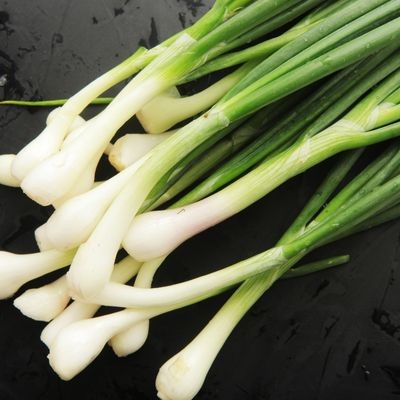 Spring Onions