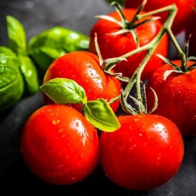 Tomatoes Cherry on Vine