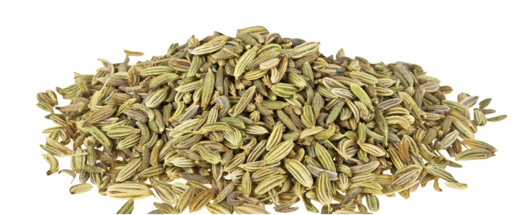 Fennel Seeds