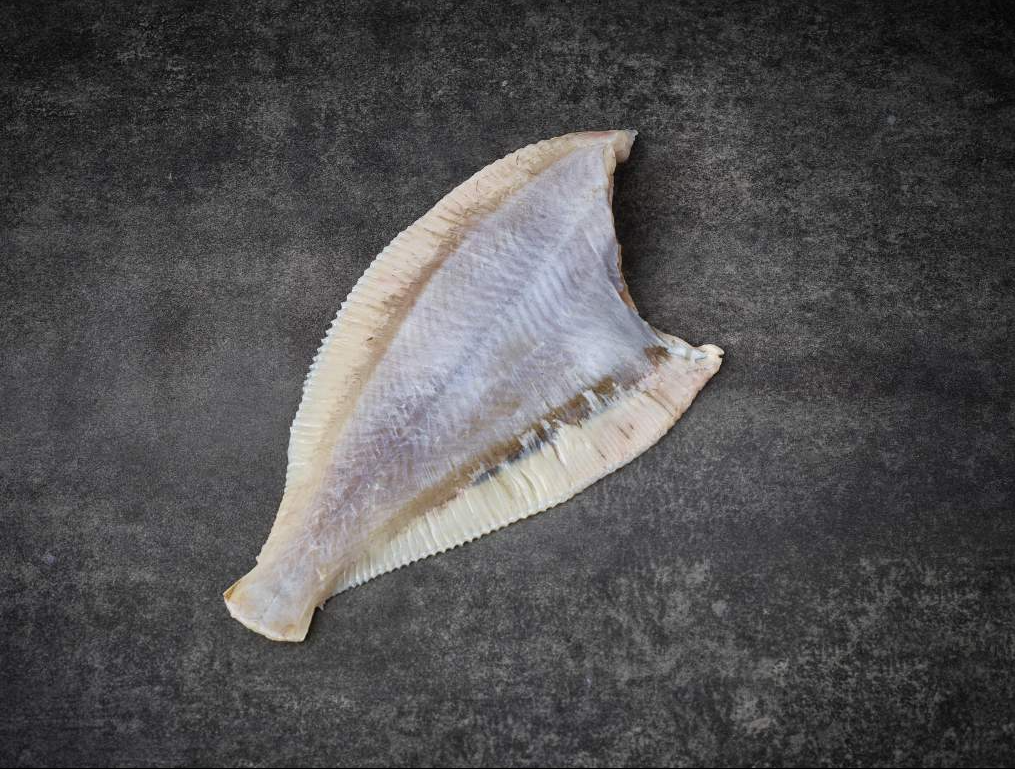 Whole Plaice