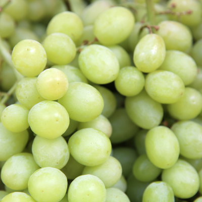 White Seedless Grapes
