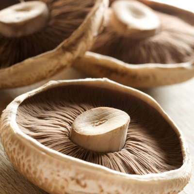 Portabella Mushroom
