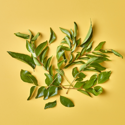 Fresh Direct Fresh Curry Leaves