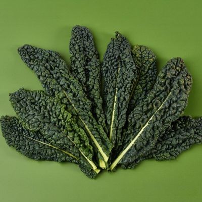 Cavolo Nero Cabbage