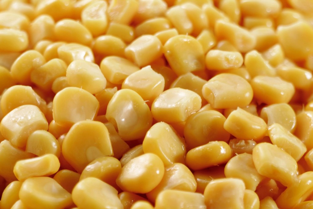 RIVERDENE Sweetcorn In Water