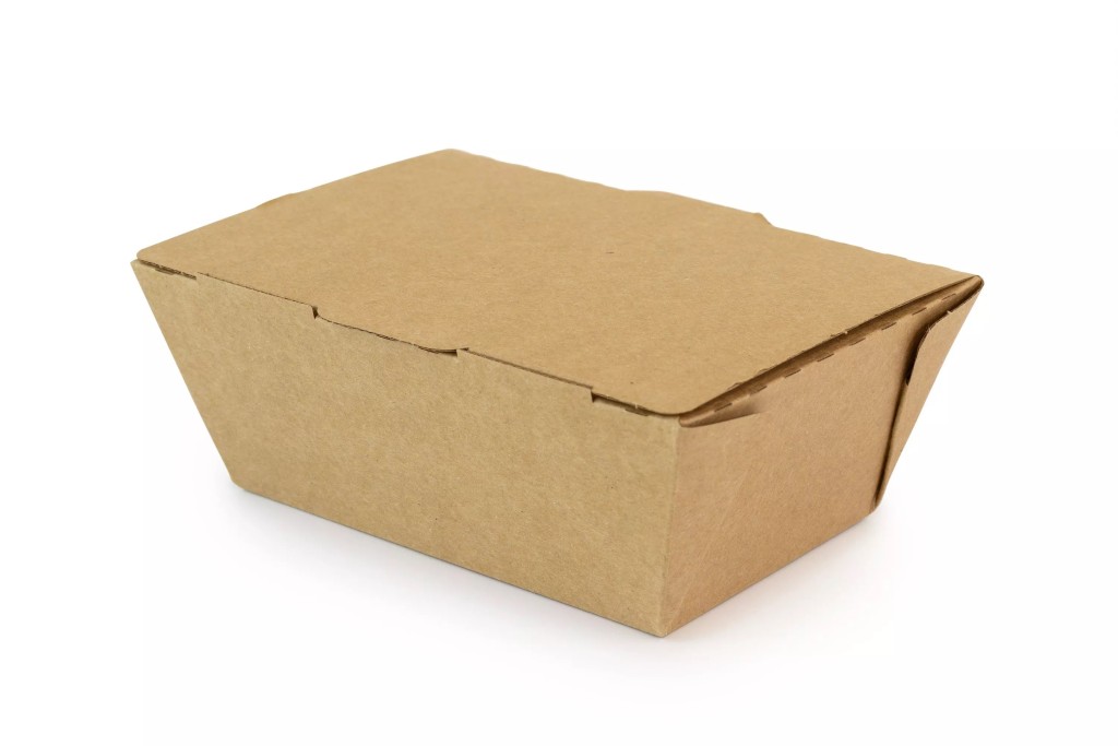 SYSCO EARTH PLUS Small Food To Go Box