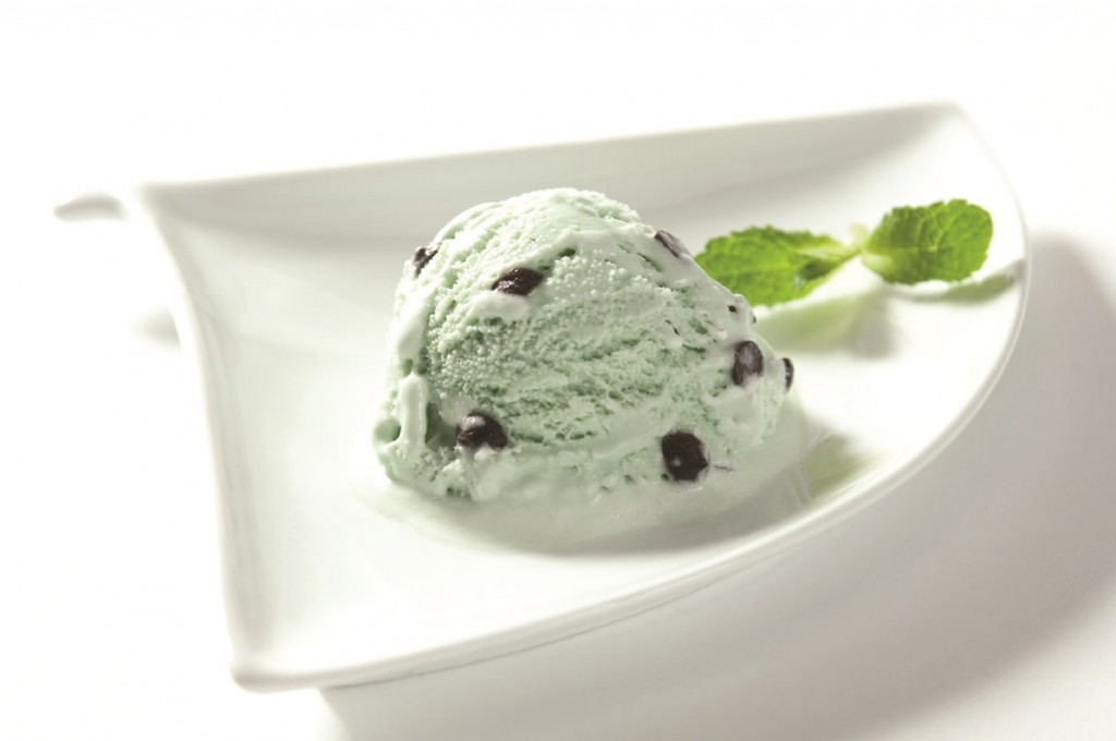 Mint Choc Chip