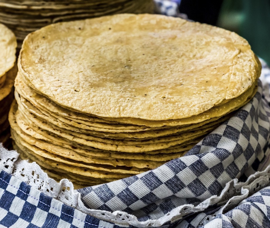 Corn Tortillas 6