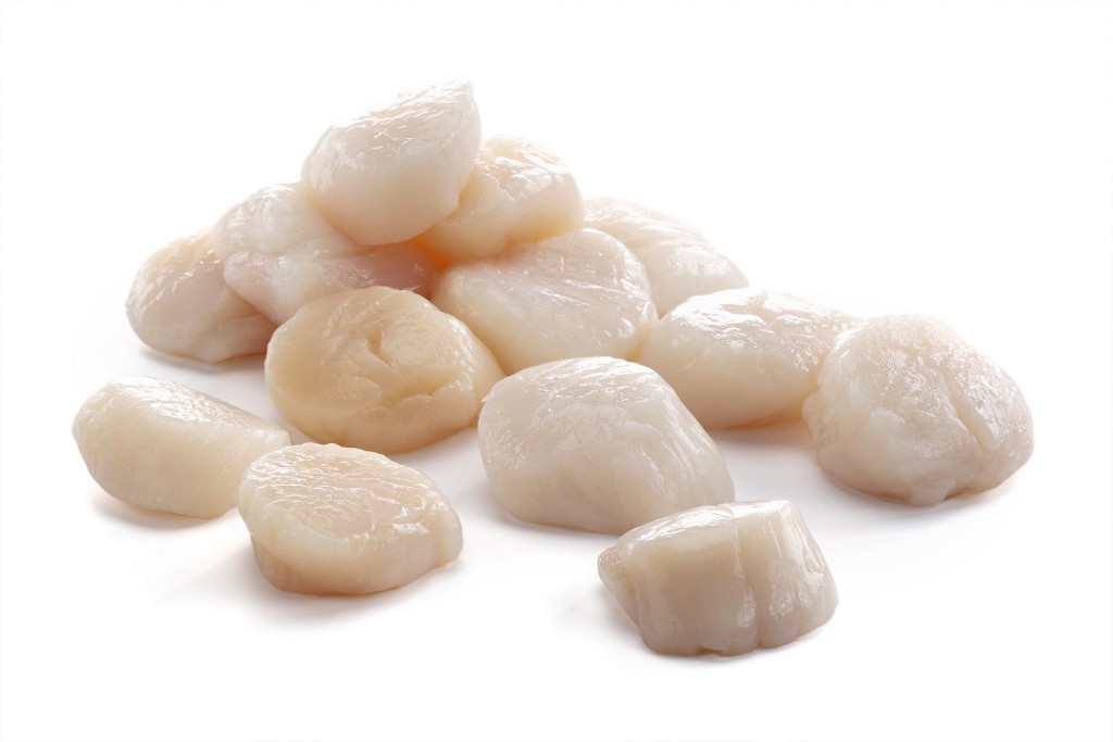 MSC Scallop Meat (Dry) 20/40kg