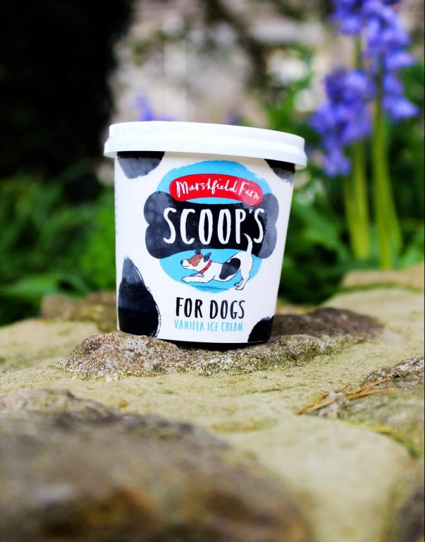 Marshfield Dog Ice Cream
