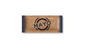 Mayonnaise