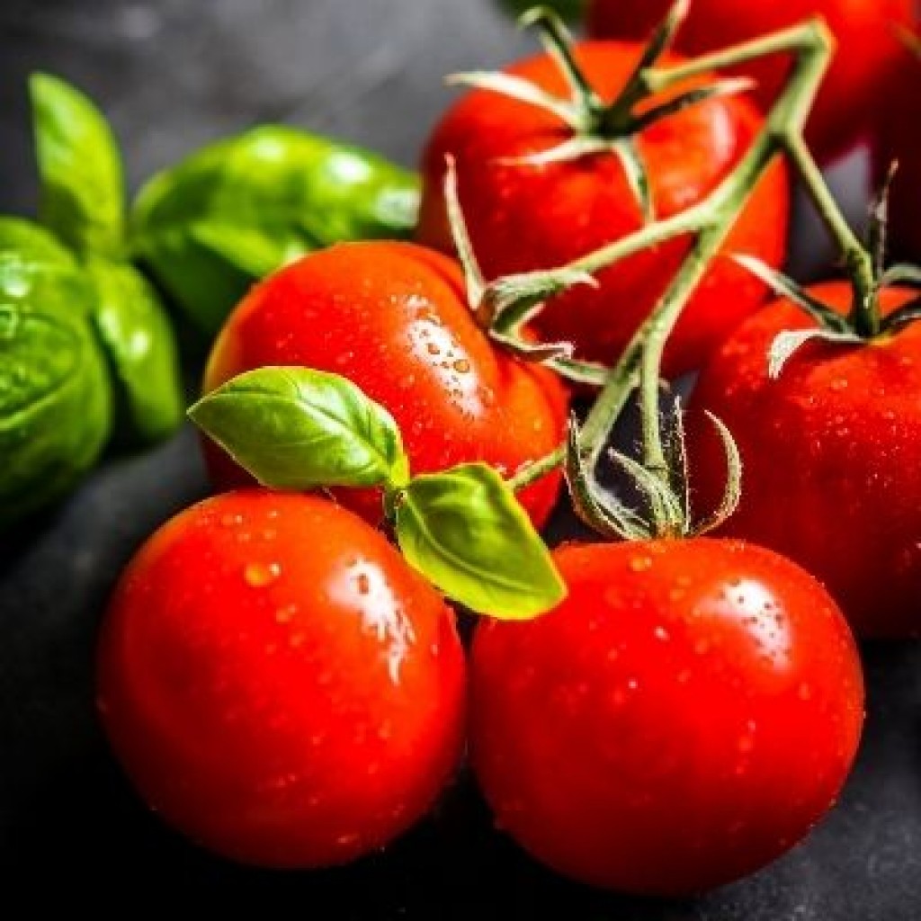 Cherry Tomatoes on the Vine