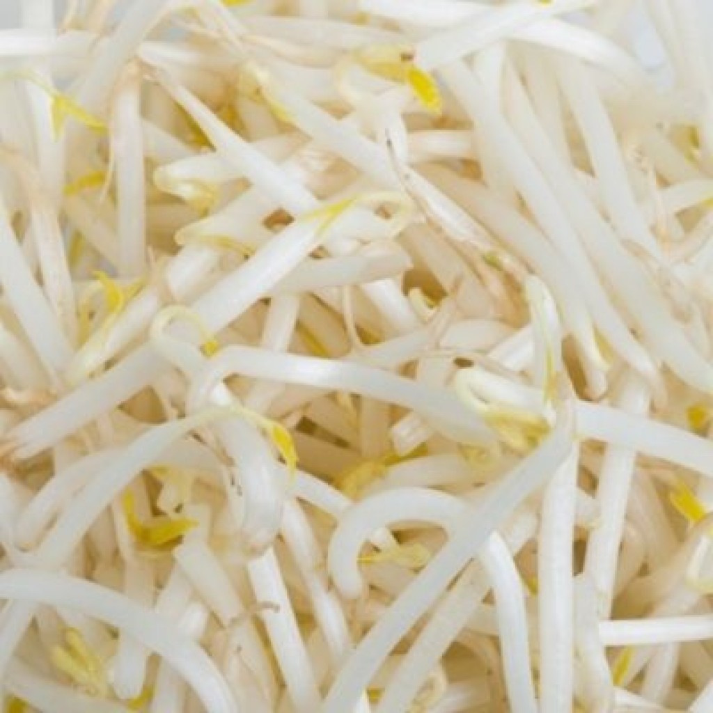 Beansprouts