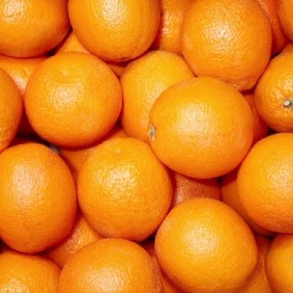 Large Oranges