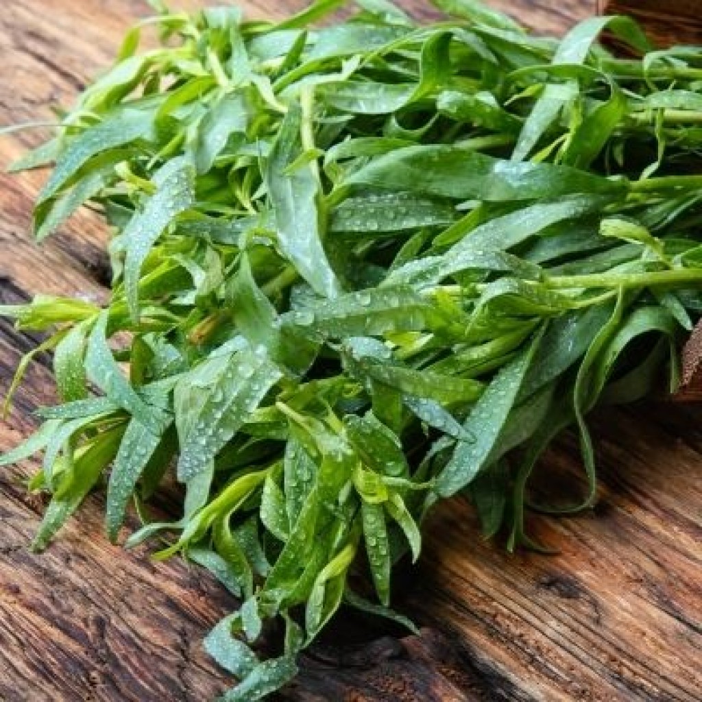 Fresh Tarragon