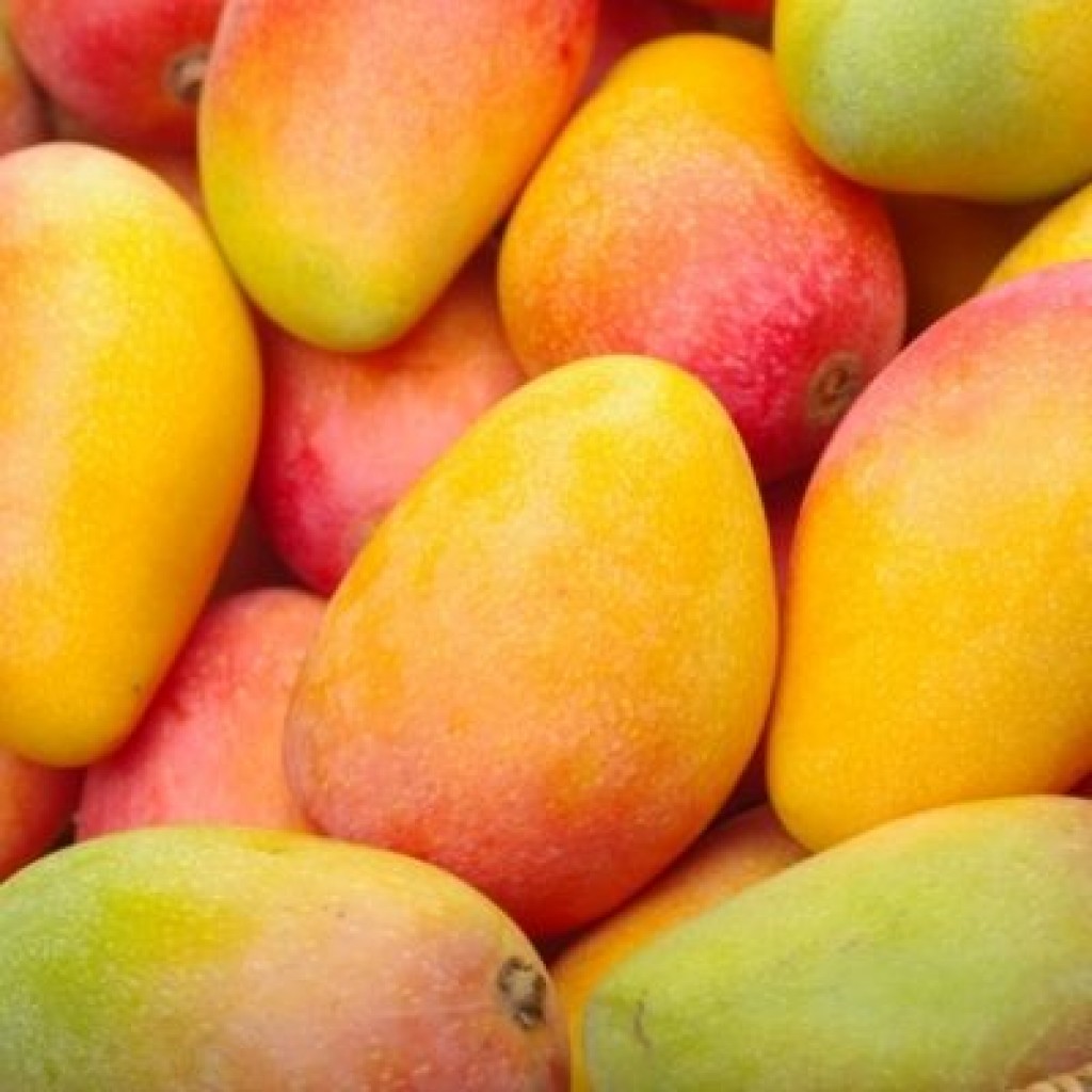 Mango