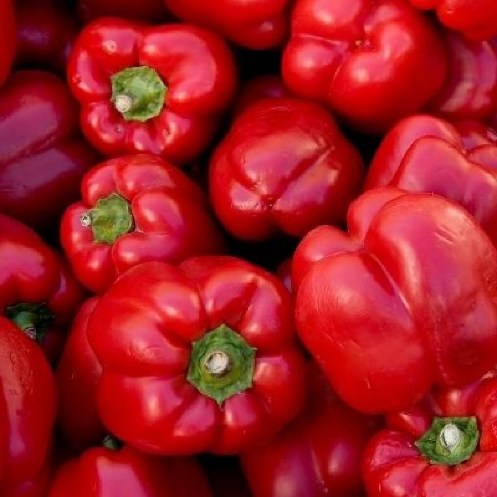 Red Pepper