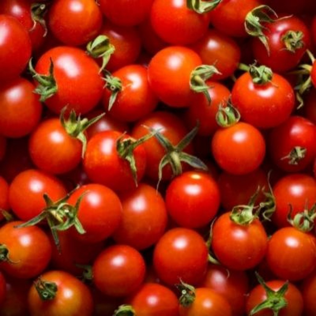 Cherry Tomatoes