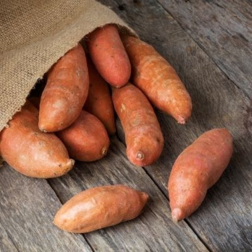 Sweet Potatoes