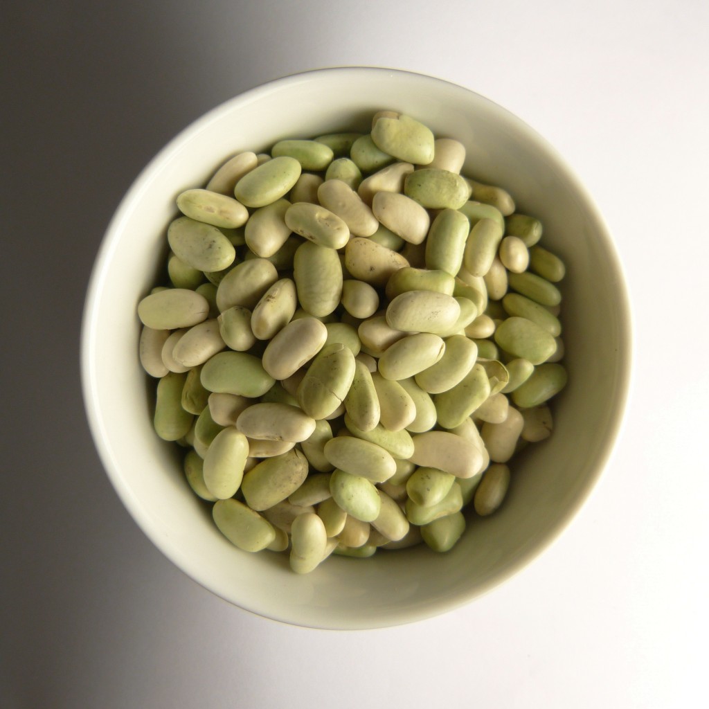 CENTAUR Flageolet Beans
