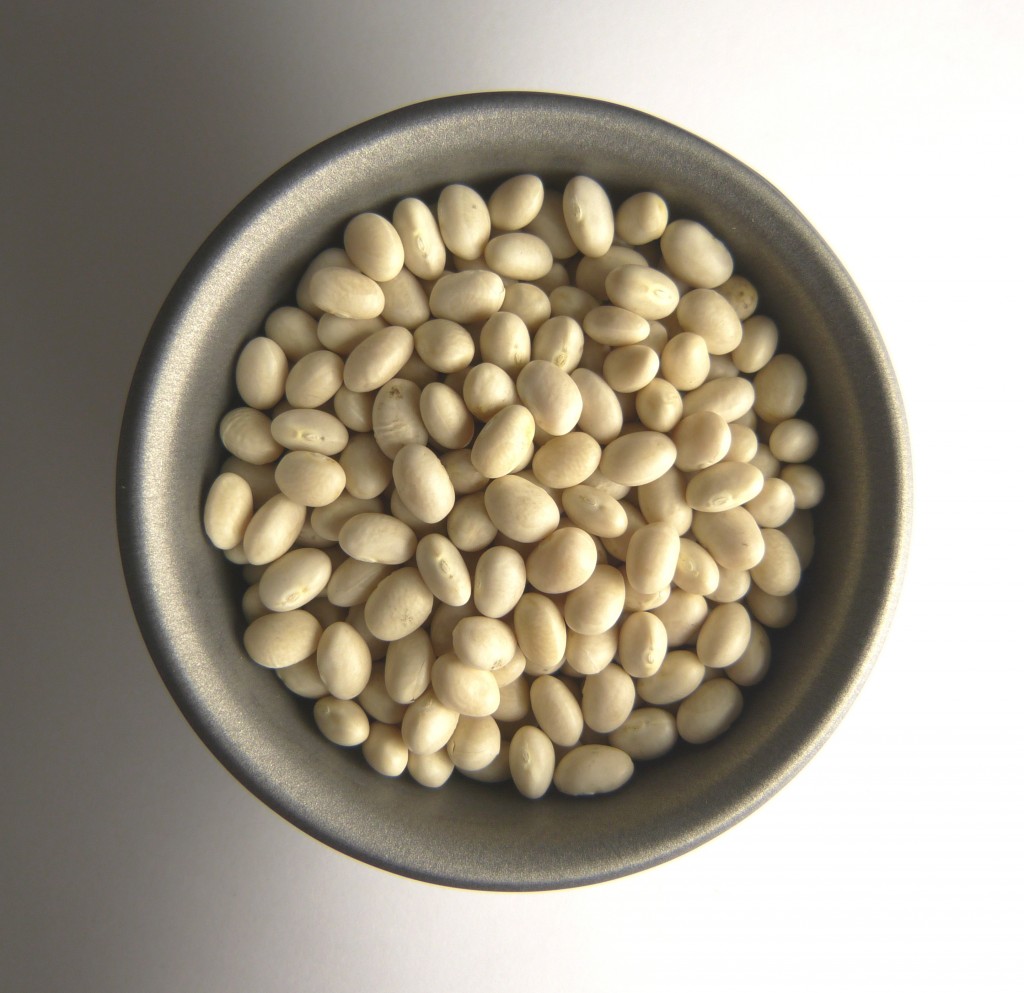 CENTAUR Haricot Beans