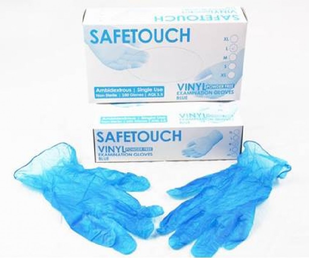 Vinyl Disposable Gloves - Large