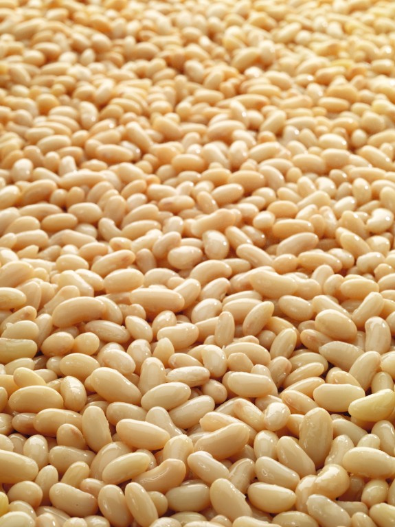 Canellini Beans in Brine
