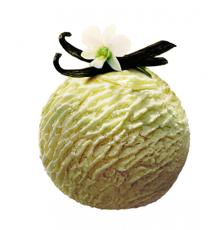 MOVENPICK Vanilla Dream Ice Cream