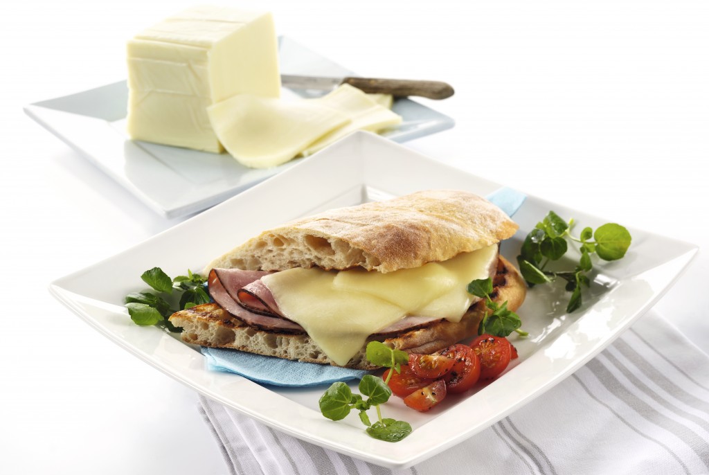 Danish Mozzarella Block