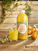 VILLAGE PRESS Fresh Orange Juice