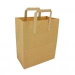 Brown Carry Bags with Handles 290x250mm