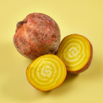 Golden Beetroot