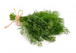 Fresh Dill