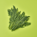 Fresh Dill
